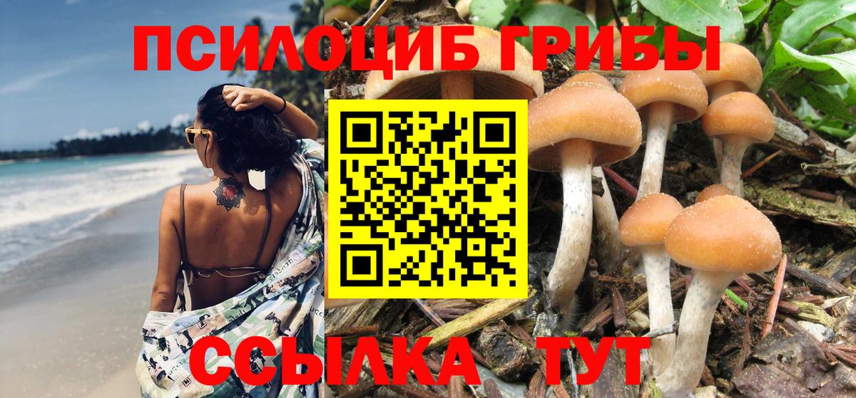 Псилоцибиновые грибы Psilocybe  Вход с VPN  купить закладку  Керчь  Галлюциногенные грибы мицелий 